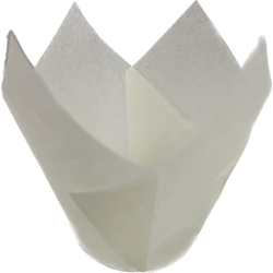 Tulipas de Papel (200 Unidades)