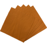 Servilleta Color Naranjo 25x25cm (20 Unidades)