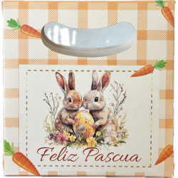 Caja Tipo Maleta Conejo