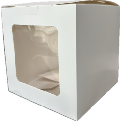 Caja Blanca Cuadrada con 2 Micas [20x20x20cm] (25 Unidades)