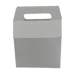 Caja Papas N2 (100 Unidades)