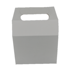 Caja Papas N3 (100 Unidades)